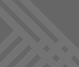 Importance of Transparency and Openness of The Parliament